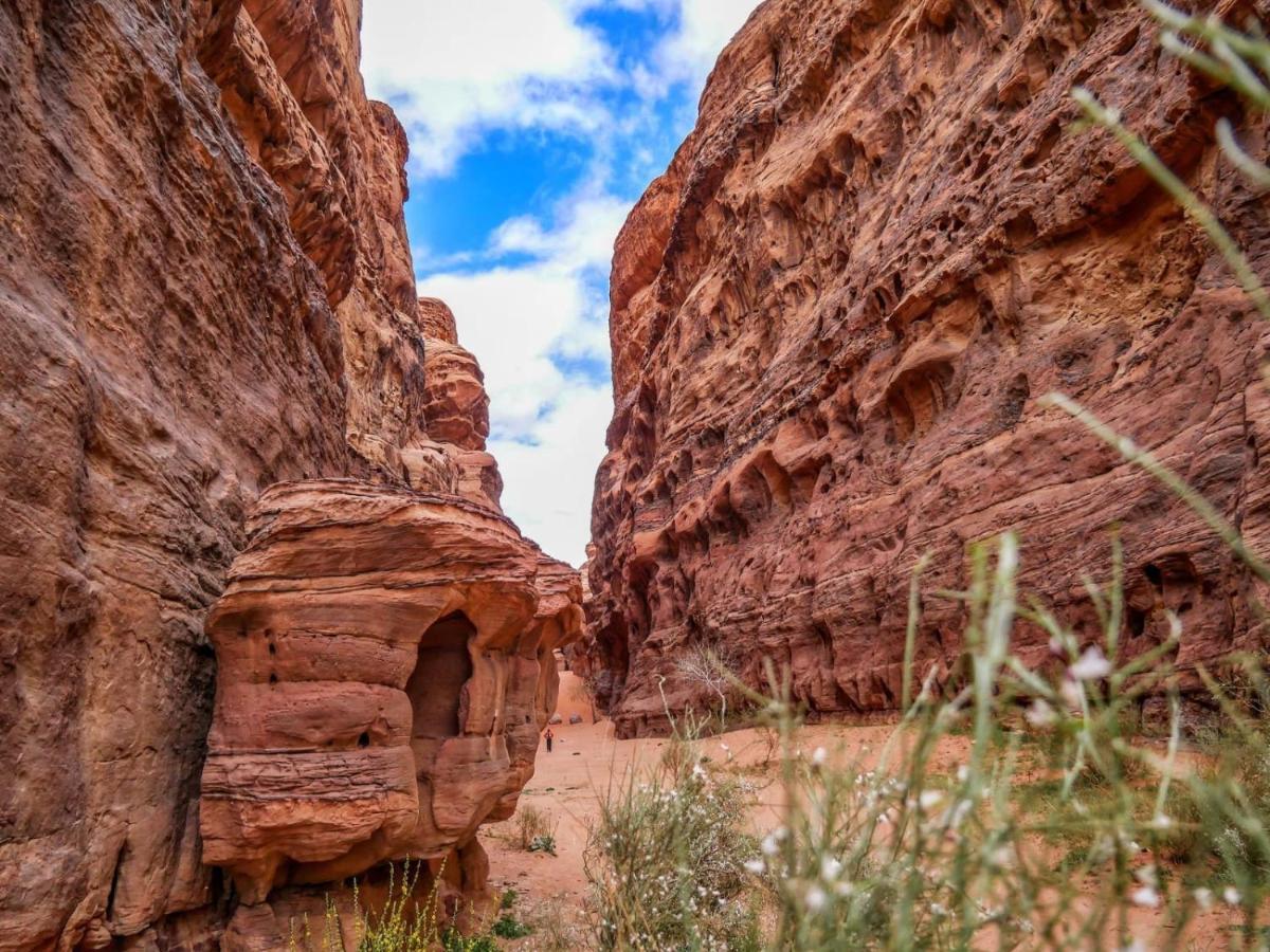 Wadi Rum Nights Exterior photo